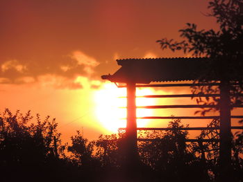 Silhouette trees against orange sky during sunset