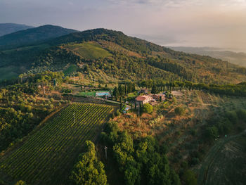 Beautiful agriturismo villa with pool and wineyard and olive trees in toscana italy. cypress trees.