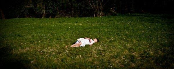 Dog lying on grass