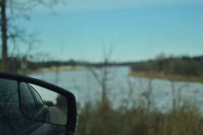 Reflection of trees in water