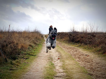 Dog running on dirt road with woman in background. 