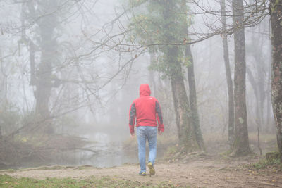 Full length rear view of man walking in forest