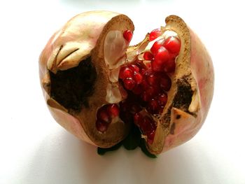Close-up of fruits against white background