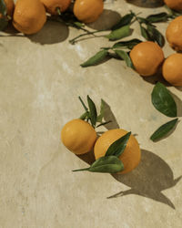 Close-up of fruits on table