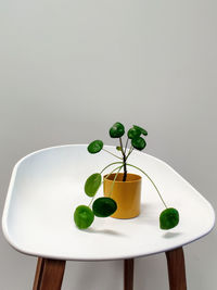 Close-up of fruits served on table against white background