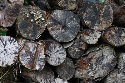 A stack of cut logs 
