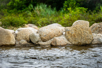 Rocks in river