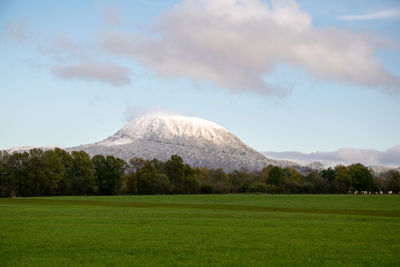 Scenic view of field against sky