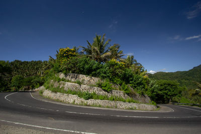 Road by trees against blue sky