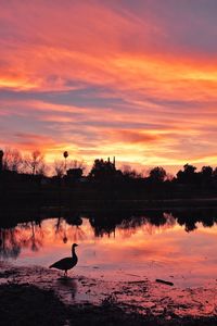 Silhouette birds on lake against orange sky