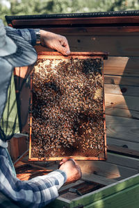 Beekeeper working at farm