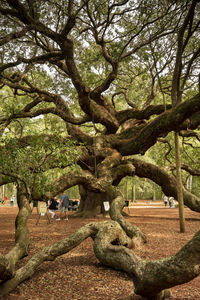 People in park