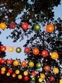 Low angle view of multi colored balloons