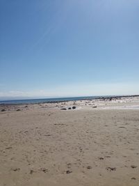 Scenic view of beach against clear sky