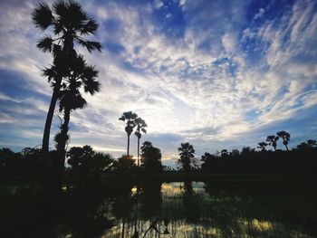 Silhouette trees on field against sky during sunset