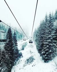 Overhead cable car in winter