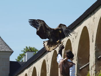 Eagle perching with spread wings on person hand by building against clear sky