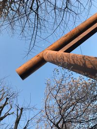 Low angle view of bare tree against blue sky