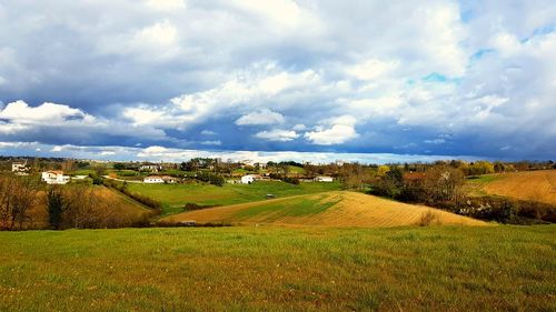 Scenic view of field against sky