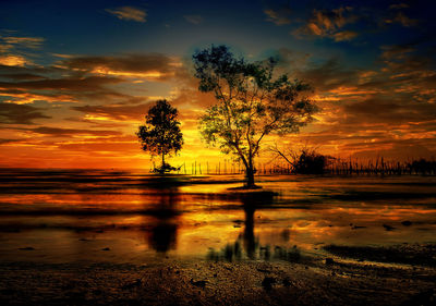 Silhouette tree by lake against sky during sunset