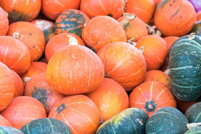 Bunch of orange pumpkins for sale in organic farm for sale to be used as fall decorations