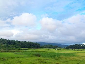 Scenic view of grassy field against cloudy sky