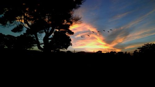 Silhouette of birds flying against sky during sunset