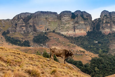 View of rock formations on landscape against sky