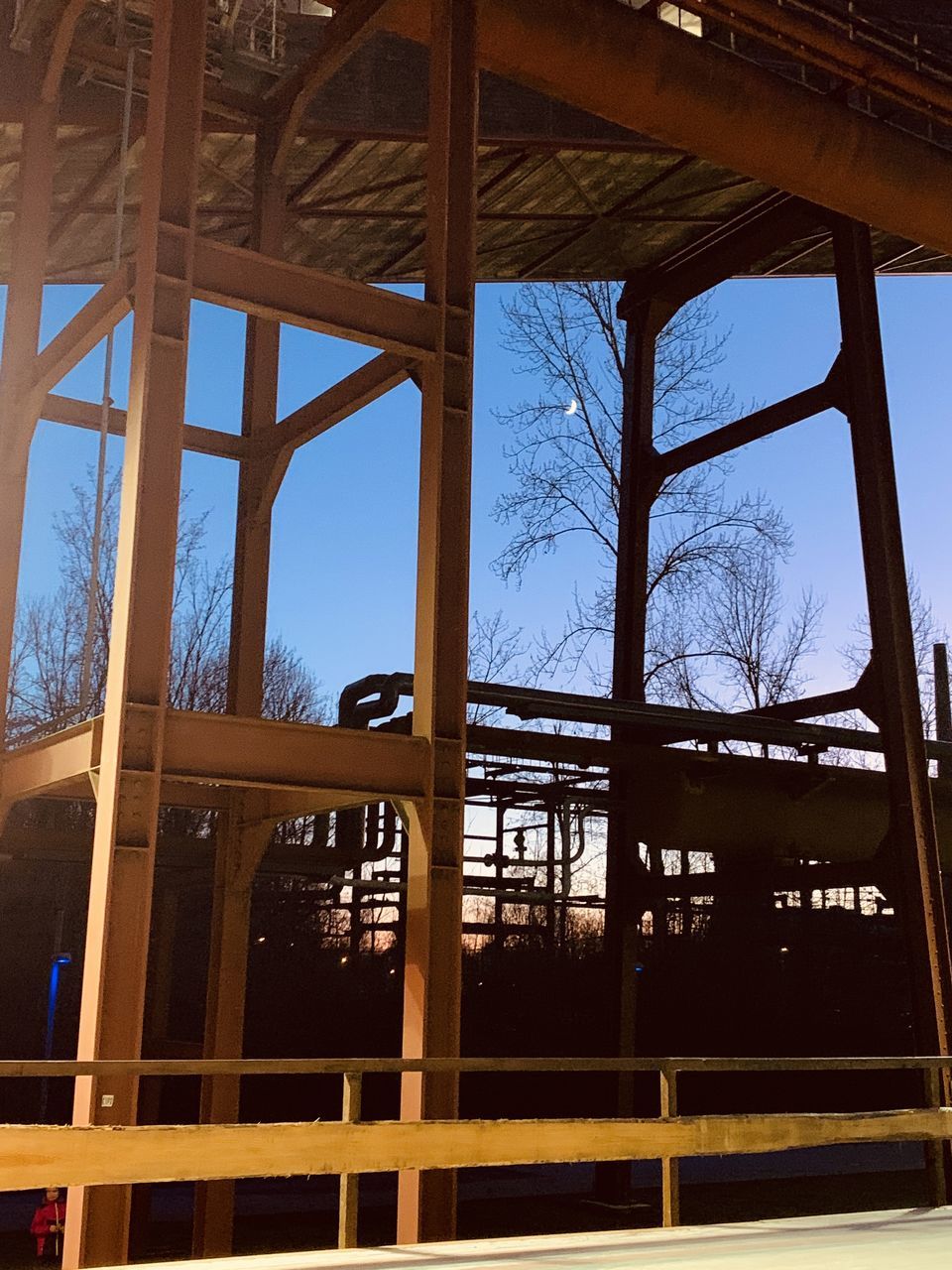 LOW ANGLE VIEW OF TREES SEEN THROUGH WINDOW OF HOUSE