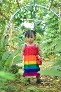 Portrait of boy standing amidst plants