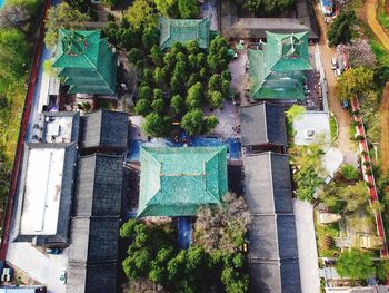 High angle view of trees and buildings in city