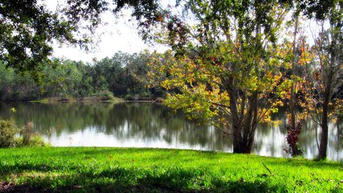 Scenic view of lake by trees