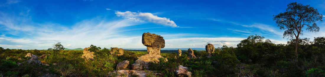 Panoramic view of trees against sky