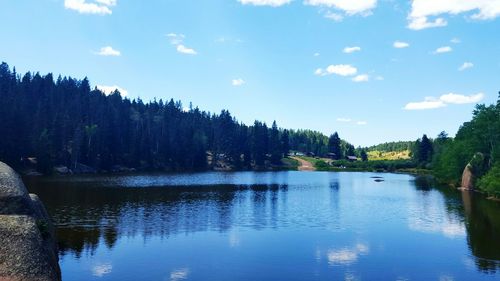 Reflection of trees in calm lake