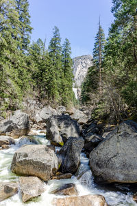 Stream flowing through rocks in forest against sky