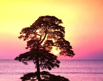 Scenic view of sea against sky at sunset