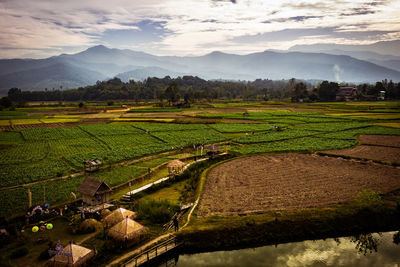 Scenic view of agricultural field against sky