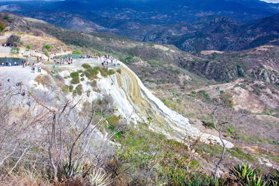 High angle view of trees on landscape