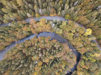 High angle view of road amidst trees in forest