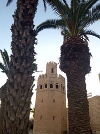 Low angle view of palm tree against building