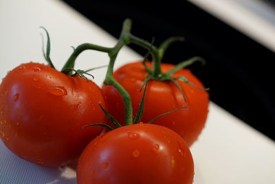 Close-up of tomatoes in plate