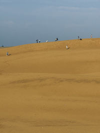 Group of people on the beach