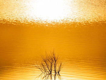 Scenic view of lake against orange sky