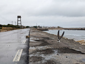 Wet road by sea against sky