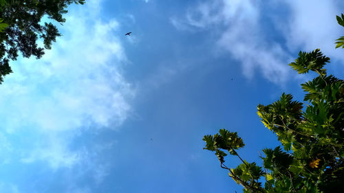 sky