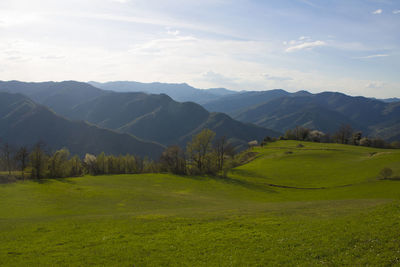 Scenic view of field against mountains