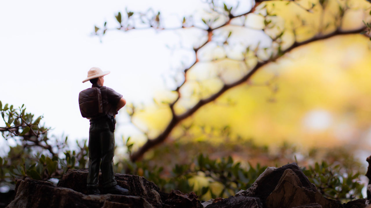 MAN STANDING ON ROCK AGAINST TREES