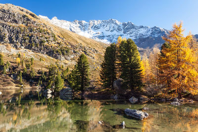 Scenic view of lake by trees against sky