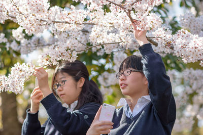 Woman standing on cherry blossom