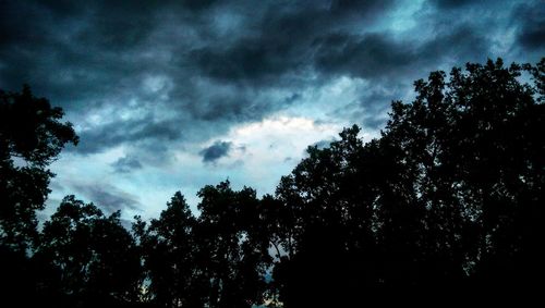 Low angle view of trees against cloudy sky